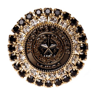 Texas State Seal Gold-Tone Lapel Pin