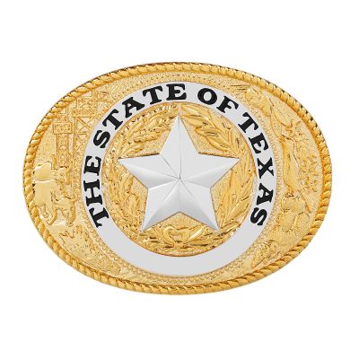 Texas State Seal Gold-Tone Lapel Pin