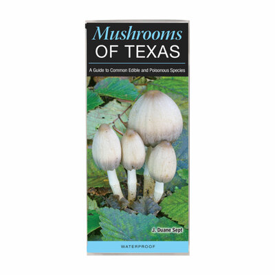 Mushrooms of Texas