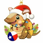 Texas Christmas Armadillo